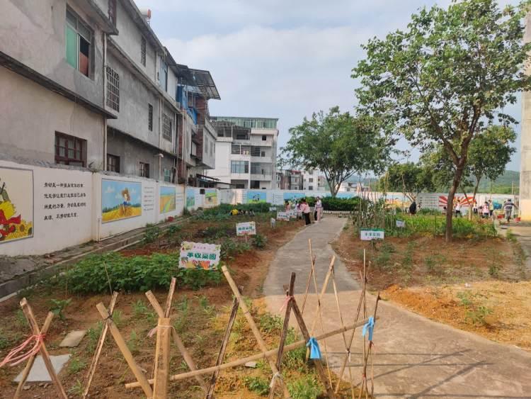 劳动实践基地——小江镇中心小学